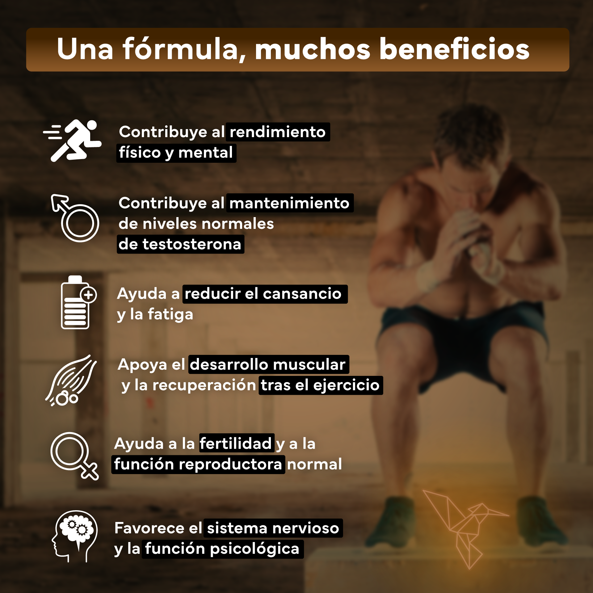 Pack 2x Maca Negra Con L-arginina Y Zinc + Vitaminas B6, B12 Y C. Reduce El Cansancio Y Aumenta Energía_2