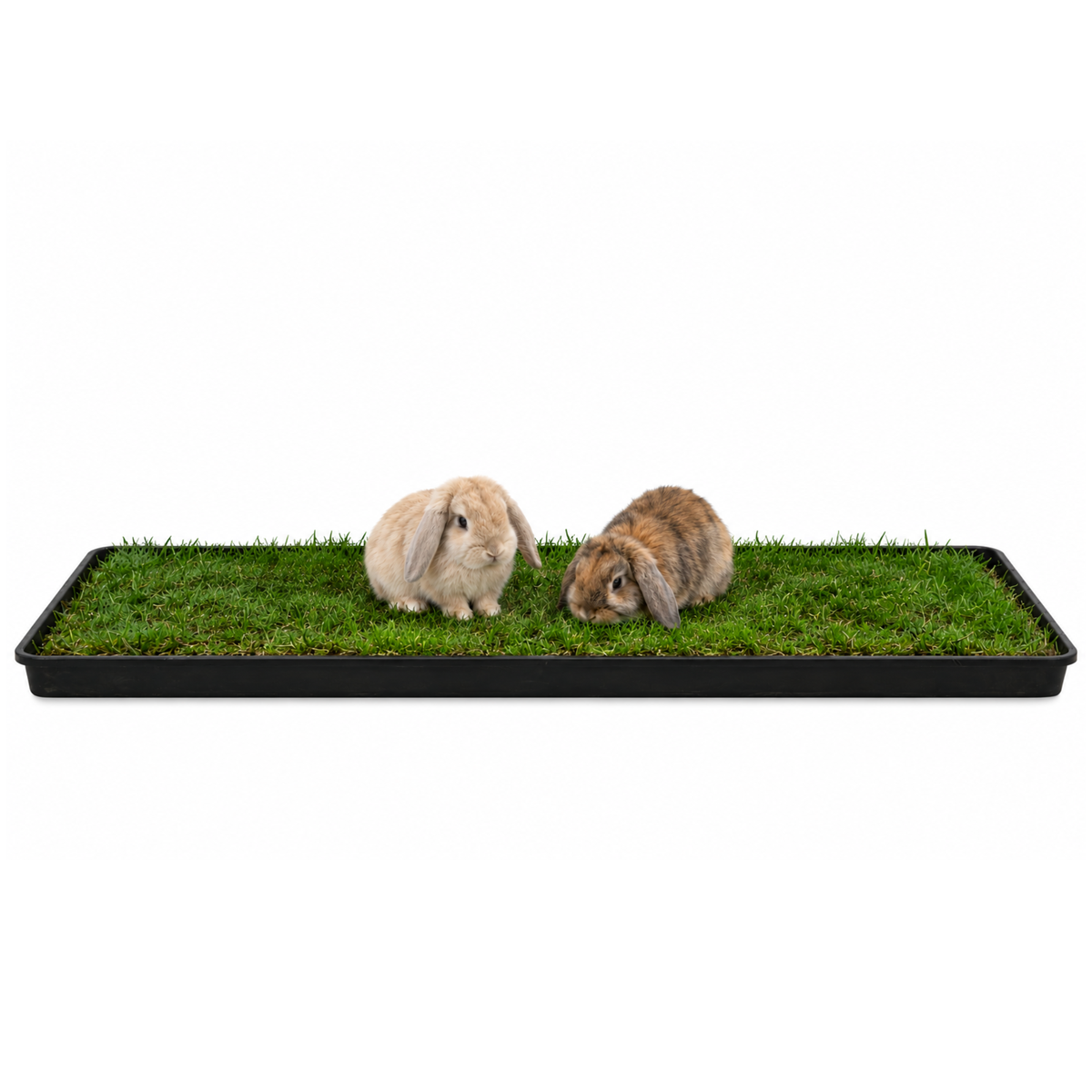 Petground, Parque Para Conejos, Casa De Césped Natural Xl: 120 X 40 Cm_0