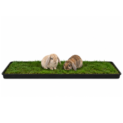 Petground, Parque Para Conejos, Casa De Césped Natural Xl: 120 X 40 Cm_0