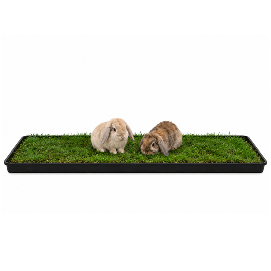 Petground, Parque Para Conejos, Casa De Césped Natural Xl: 120 X 40 Cm_0