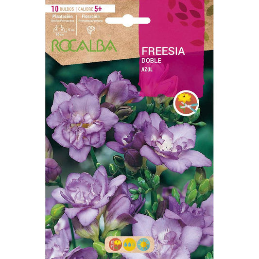 Bolbo Duplo de Frésia Azul 10 unidades Rocalba