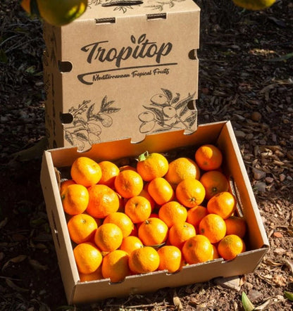 Caja de 4kg de Mandarinas Del Campo Tropitop_1