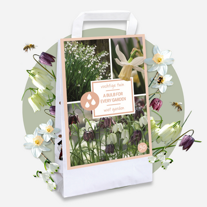 Caja Jardín Húmedo - 30 Bulbos Para Zonas Húmedas Y Lluviosas_4