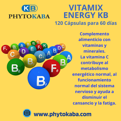 Vitamix Energy Kb 120 Cápsulas Vitaminas Y Minerales