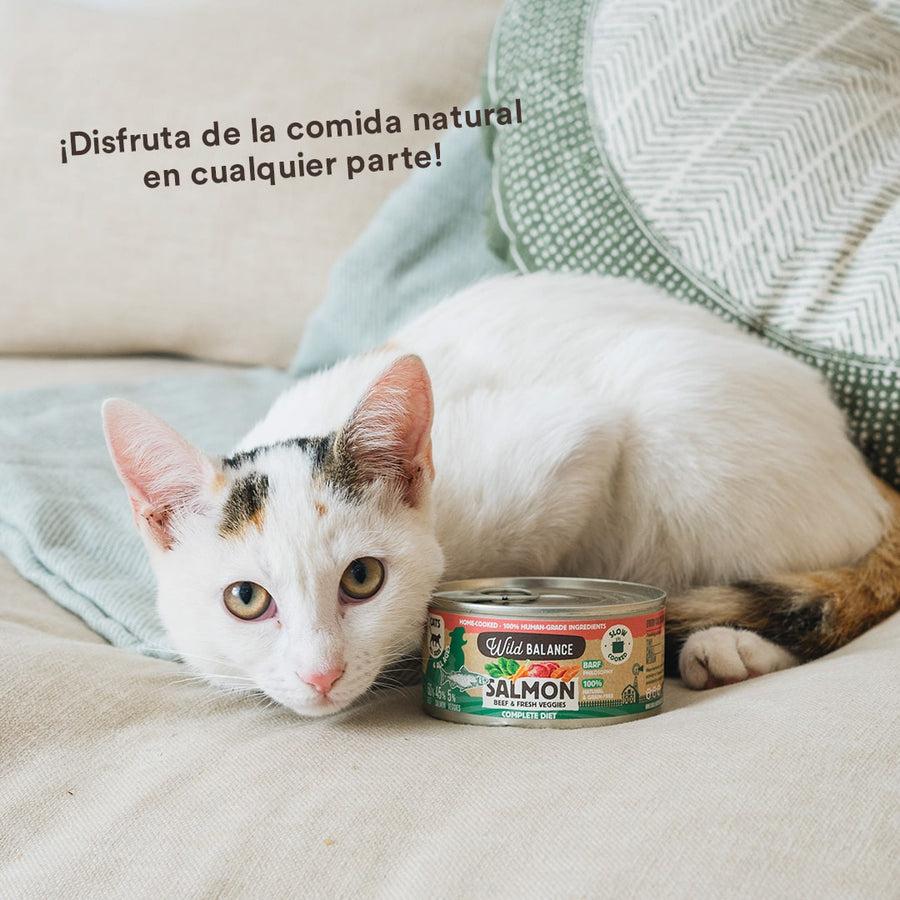 Wild Balance Salmão e Carne Barf Lata para Gatos 120g