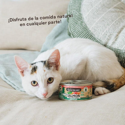 Ração enlatada BARF Wild Balance Salmão e Carne para gatos 6 x 120 g