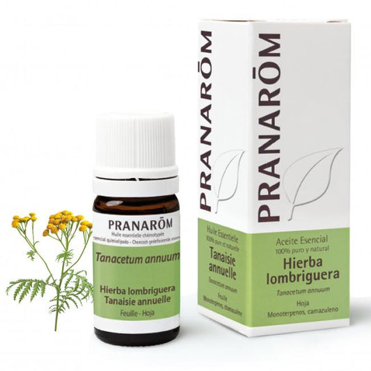 Óleo essencial de folha de absinto Pranarom 5 ml