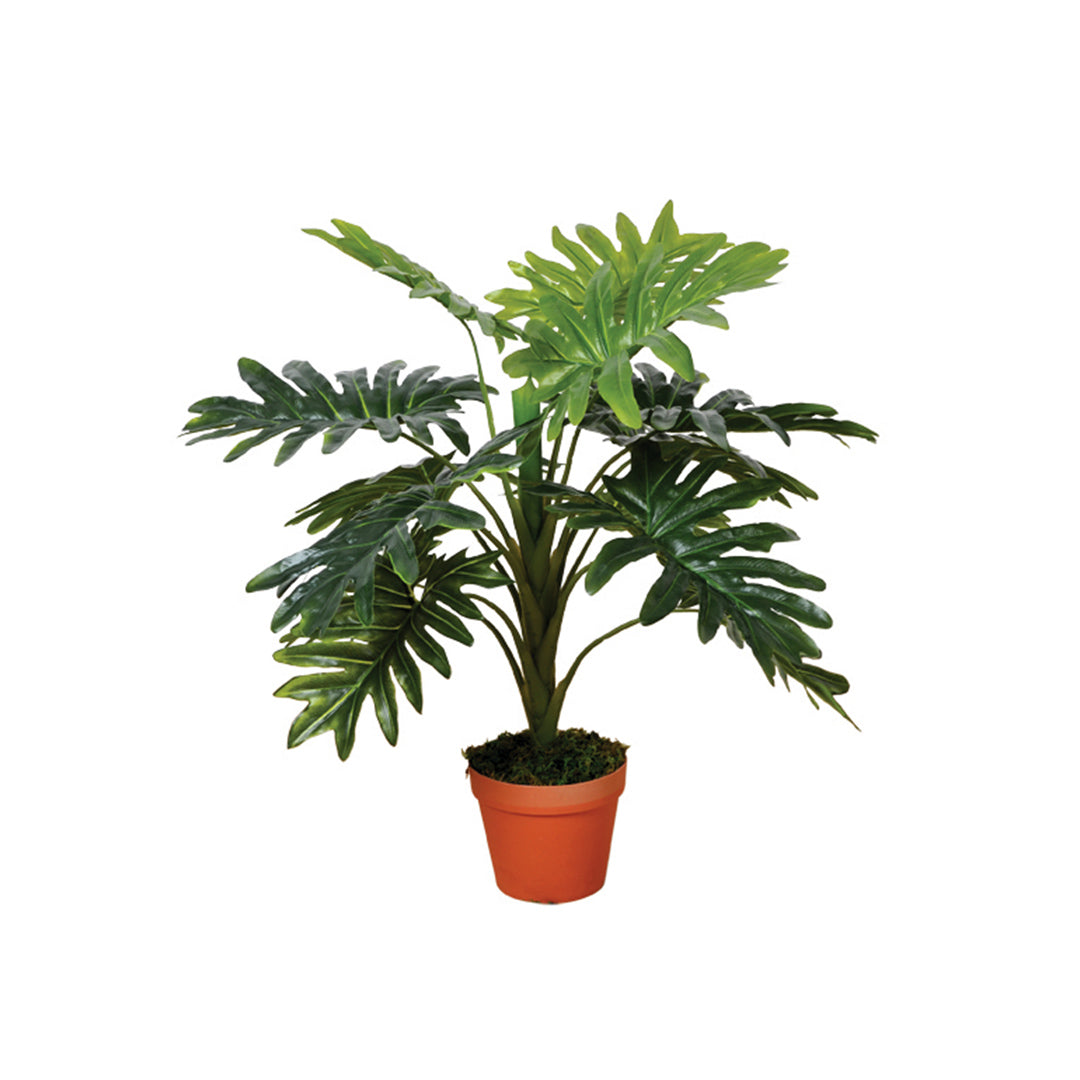 Planta Artificial Filodendro - Realismo Y Estilo Para Tu Hogar 0.7 M / Multicolor_1