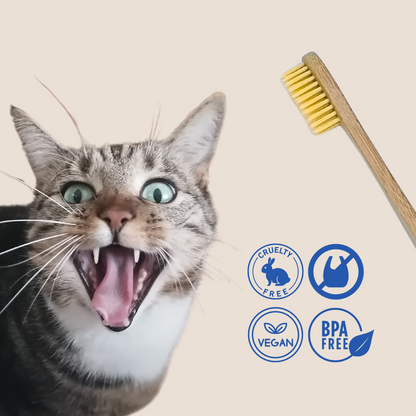 Cepillo de Dientes de Bambú para Perros y Gatos_3