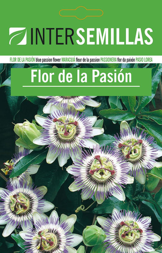 Sobre De Semillas De Flor De La Pasion_0