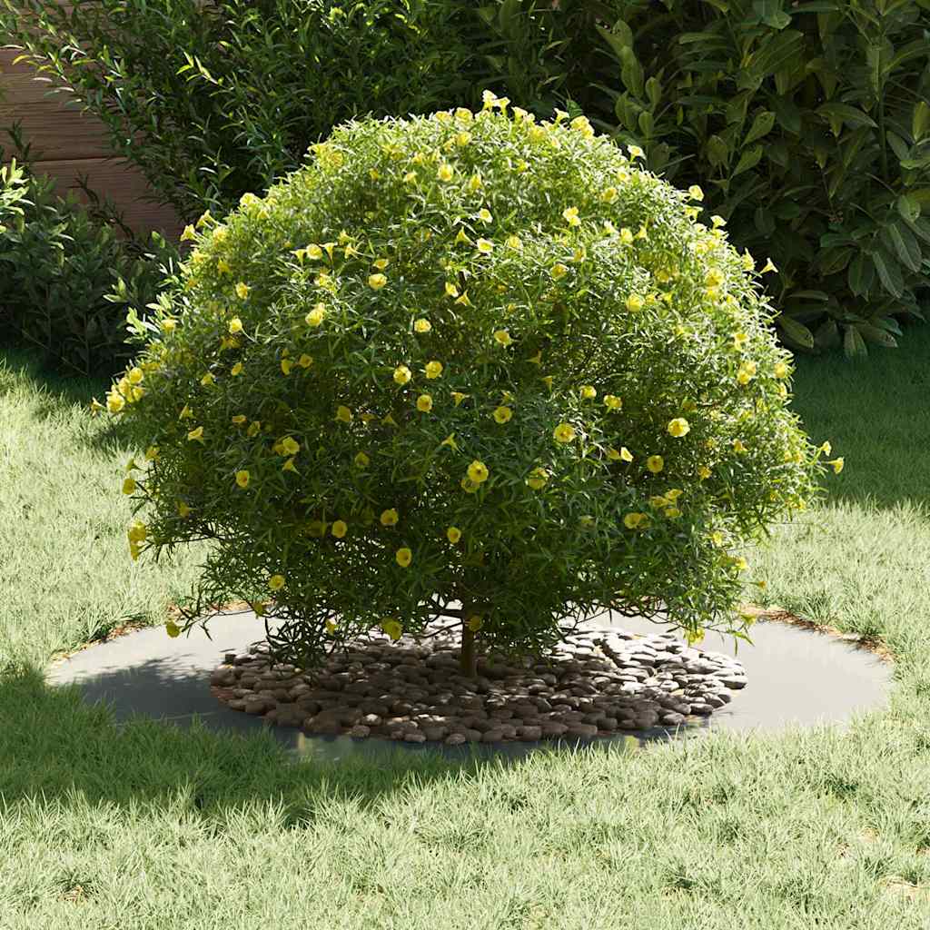 Adecuado Para Anillos De Árbol Plano 5 Uds. Plateado Ø50/80 Cm_2