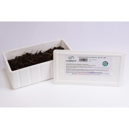Kit minhoca vermelha californiana multi-jardim 500 unidades