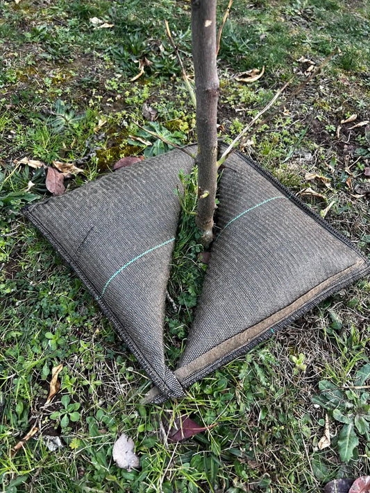 Cojín De Riego Tree’bed 700_0