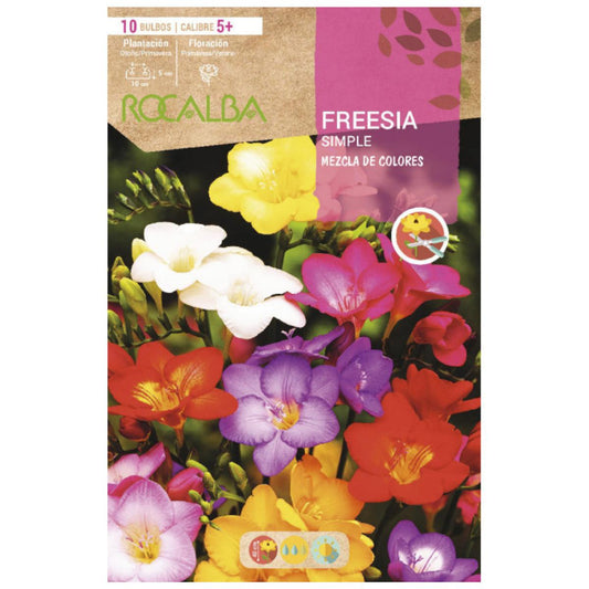 Bolbo de Frésia mix simples 10 unidades Rocalba