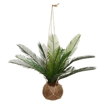 Olla De Coco De Palma Cuba H 50_0