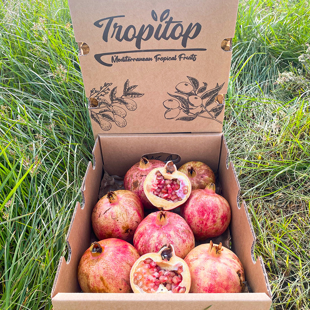 Granada Fruta Fresca Directa Del Campo - Caja 2kg_2