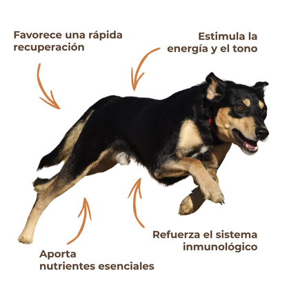 Suplemento natural para la energía y vitalidad de perros y gatos – ECO 100 g_3