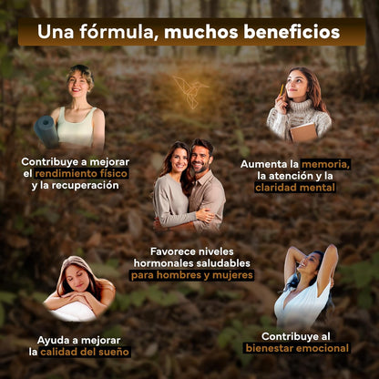Ashwagandha KSM 66 Complex con Pimienta Negra Sevens Nutrition 120 cápsulas