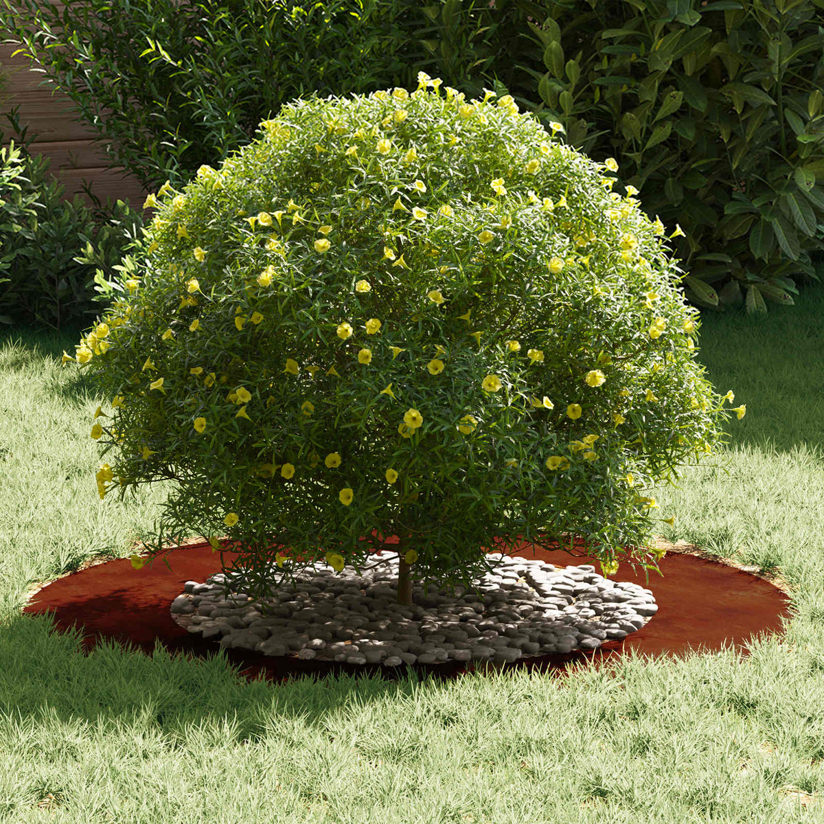 Adecuado Para Anillo De Árbol Plano Oxidado Ø50/80 Cm_2