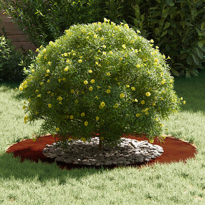 Adecuado Para Anillo De Árbol Plano Oxidado Ø50/80 Cm_2
