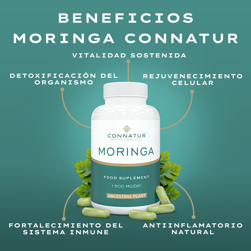 Moringa Oleifera Bio 120 Capsulas Connatur - Pack 2 Unidades_2