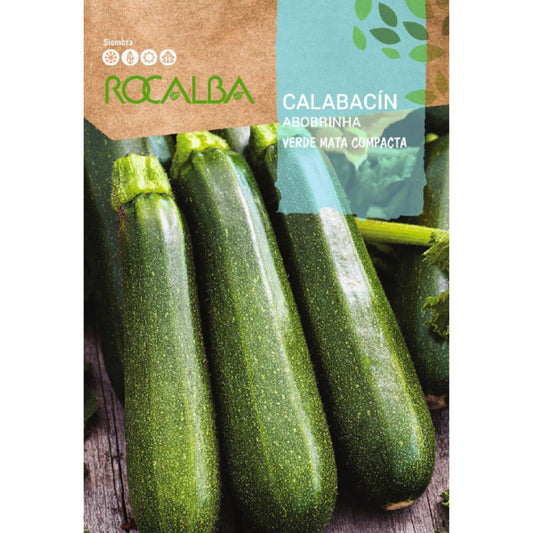 Sementes compactas de curgete verde