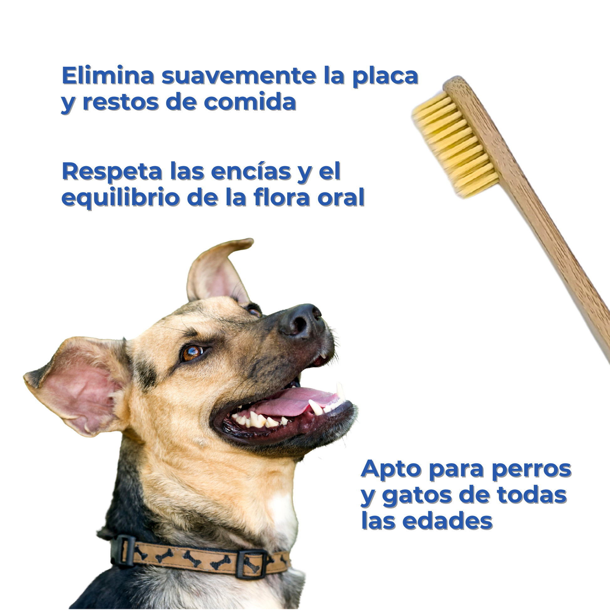 Cepillo de Dientes de Bambú para Perros y Gatos_2