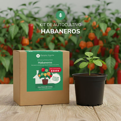 Kit de auto-cultivo Habaneros Planeta Huerto