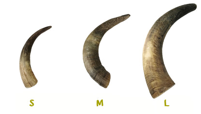 Bimordiscos Cuerno De Vaca / Toro Para Perros. M_3