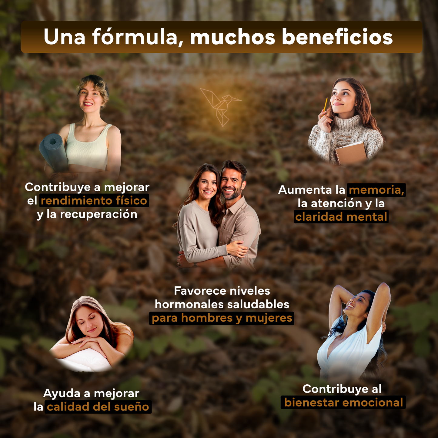Pack 2x Ashwagandha Ksm-66 Complex Con Pimienta Negra Sevens Nutrition. Bienestar, Energía Y Concentración_2