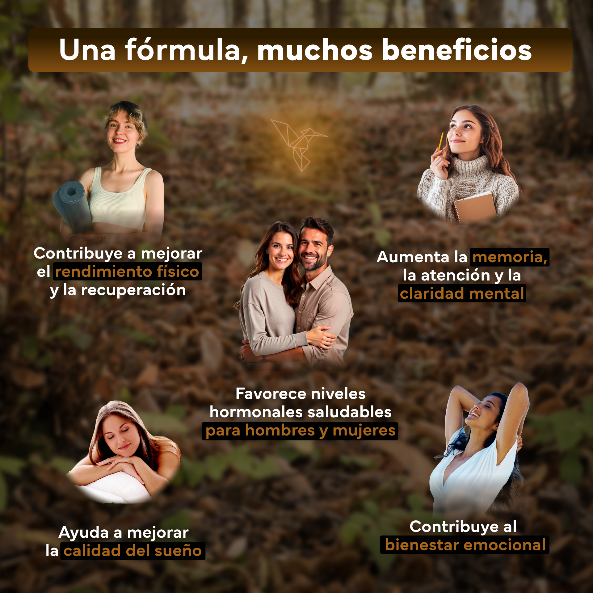 Pack 2x Ashwagandha Ksm-66 Complex Con Pimienta Negra Sevens Nutrition. Bienestar, Energía Y Concentración_2