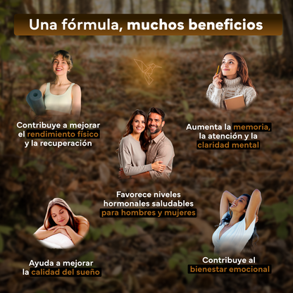 Pack 2x Ashwagandha Ksm-66 Complex Con Pimienta Negra Sevens Nutrition. Bienestar, Energía Y Concentración_2