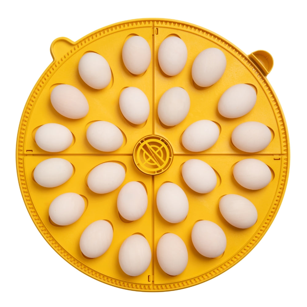 Incubadora Brinsea Maxi 48 Advance - Incubadora Para Huevos De Diferentes Especies De Ave - Con Volteo Automático_5