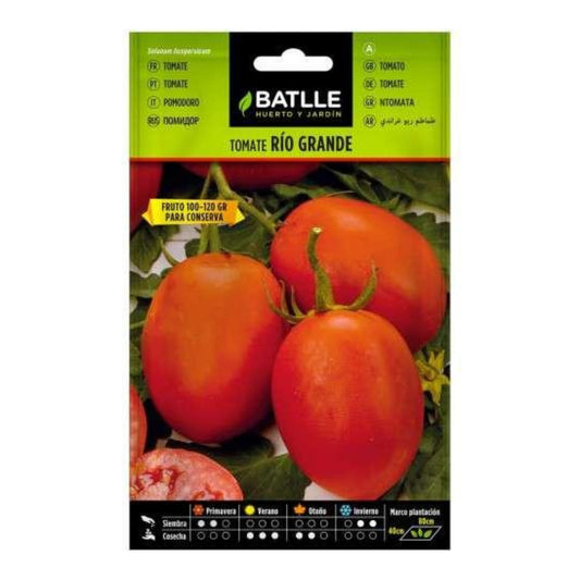 Sementes de Tomate Rio Grande Batlle