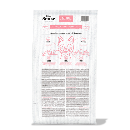 Dibaq Sense Cat Kitten_1