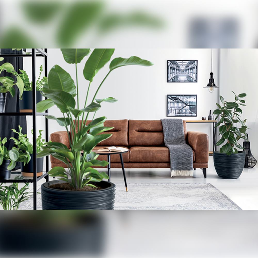 Macetero Color Antracita, Con Depósito, Colección Furu, De 56,9 X 56,9 X 44,5 Cm, Capacidad De 92 L.