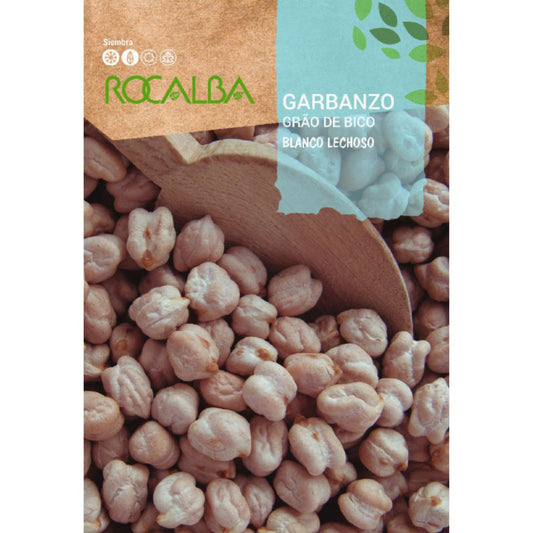 Sementes de grão-de-bico branco leitoso