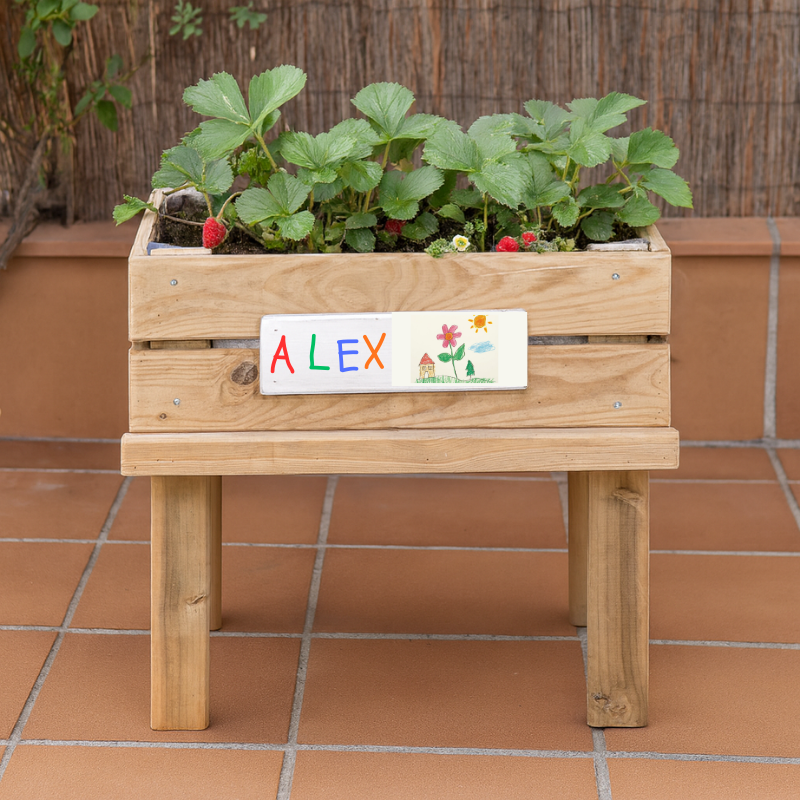 Mesa De Cultivo  Kumi Profunda 20cm Vidahuerto  Infantil 60x40x55 Cm._1