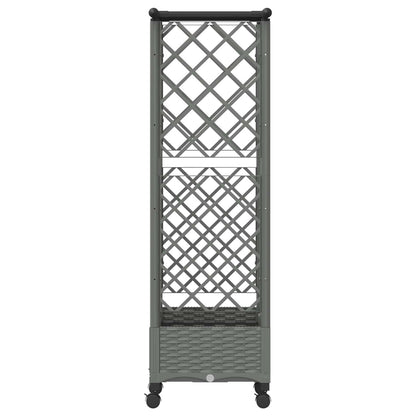 Cama Elevada Con Trellis Y Techo Gris Claro 124 X 40 X 127 Cm_3