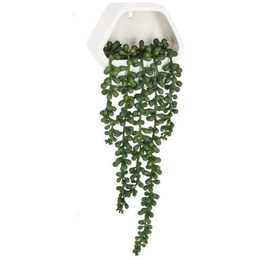 Planta Colgante De Pared Contemporánea- L.14 X P.5.5 X A 45, Verde_0
