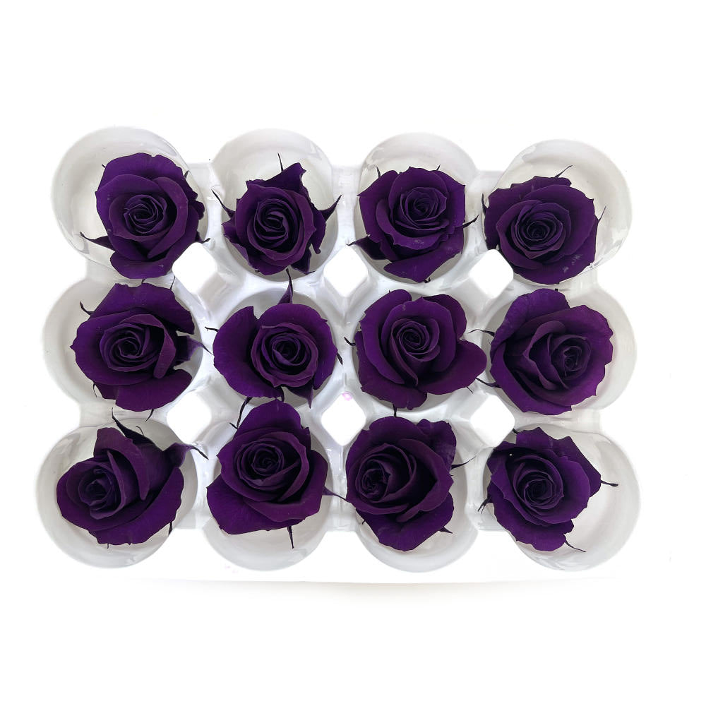 Mundo Eterno Rosas Preservadas Lila Oscuro 12 Unidades 4cm_0