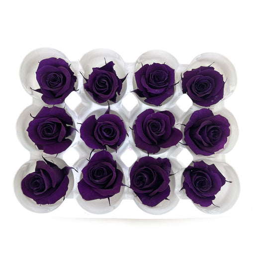 Mundo Eterno Rosas Preservadas Lila Oscuro 12 Unidades 4cm_0