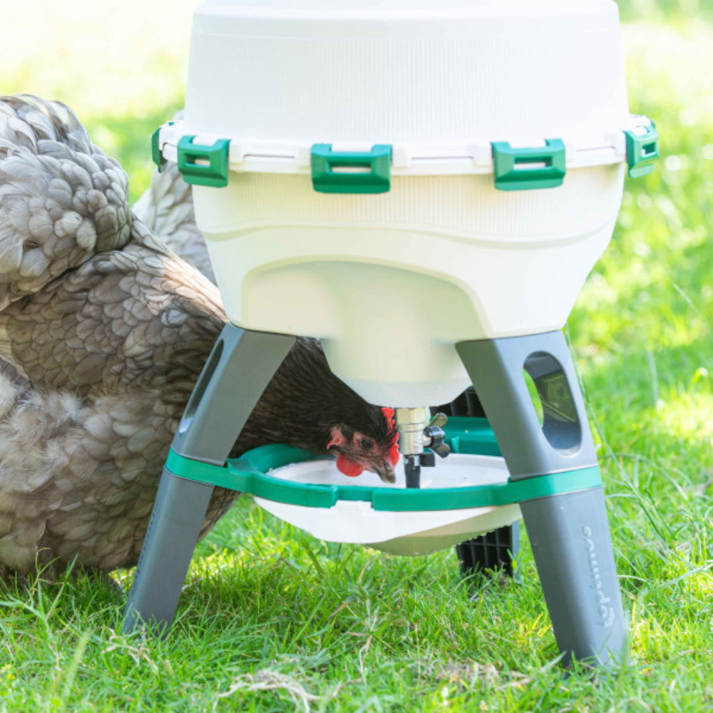 Finca Casarejo Bebedero Sifónico Para Aves (25l) - Bebedero Con Patas Para Gallinas De Plástico Resistente_1