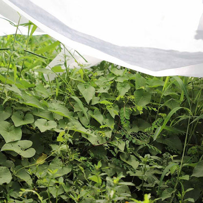 Tecido de proteção contra o congelamento Biotop 2 x 10 m