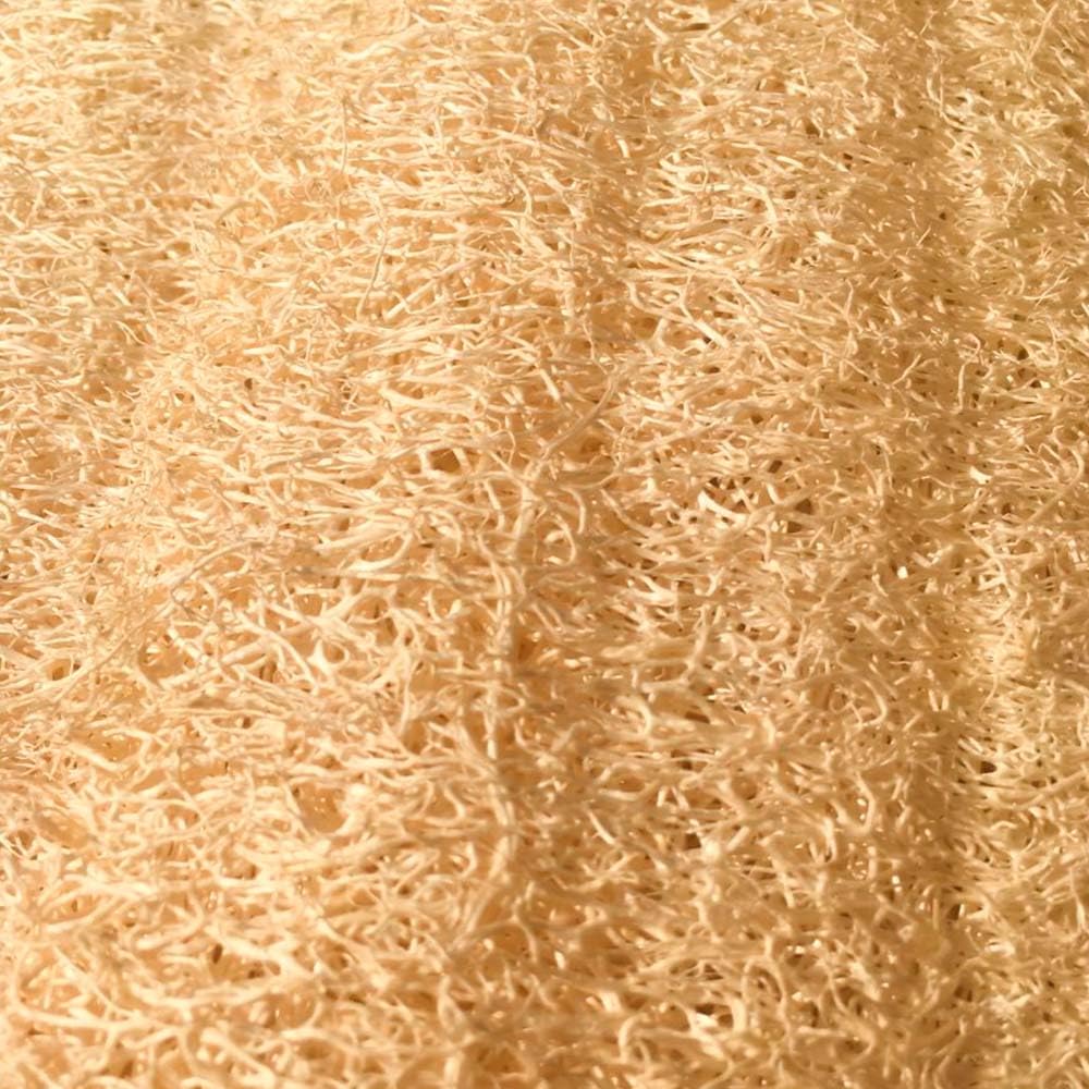 Esponja Natural Vegetal De Luffa Ovalada - Limpieza Y Exfoliación - Activa La Circulación - Cultivada Y Hecha En Galicia_4