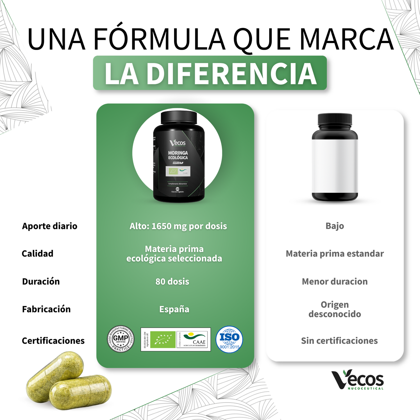 Moringa Ecológica 1650 Mg Vecos 240 Cápsulas | Energía, Defensas Y Antioxidante | Superalimento 100% Hoja_4