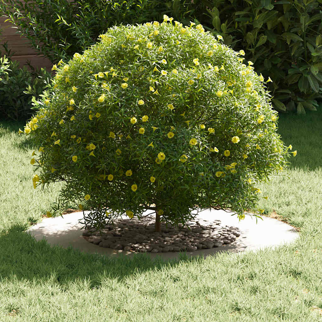 Adecuado Para Anillos De Árbol Plano 5 Uds. Ø40/70 Cm Acero_2
