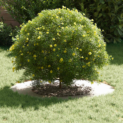 Adecuado Para Anillos De Árbol Plano 5 Uds. Ø40/70 Cm Acero_2
