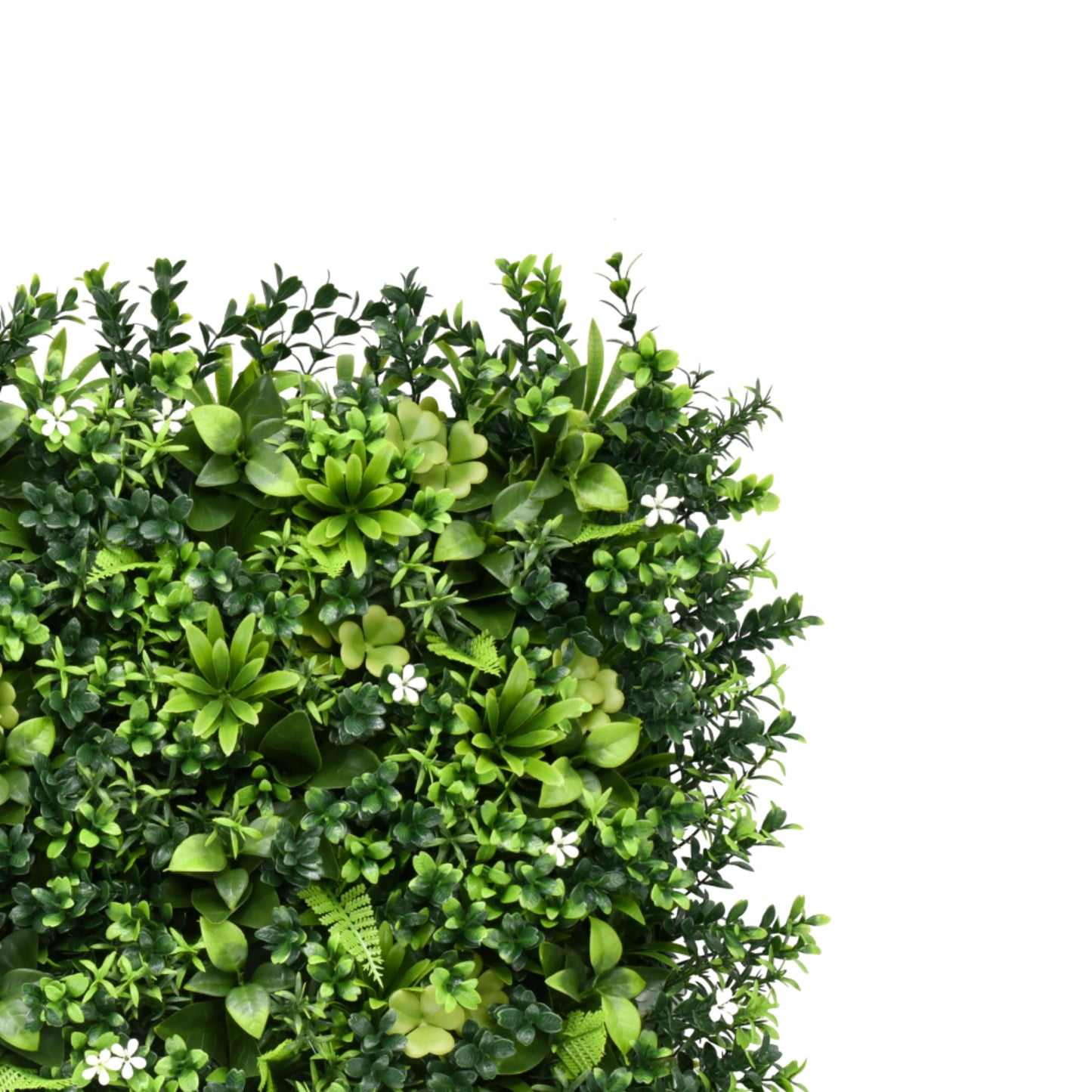 Bonerva | Jardín Vertical México | Pack 4 Piezas 50x50cm_2