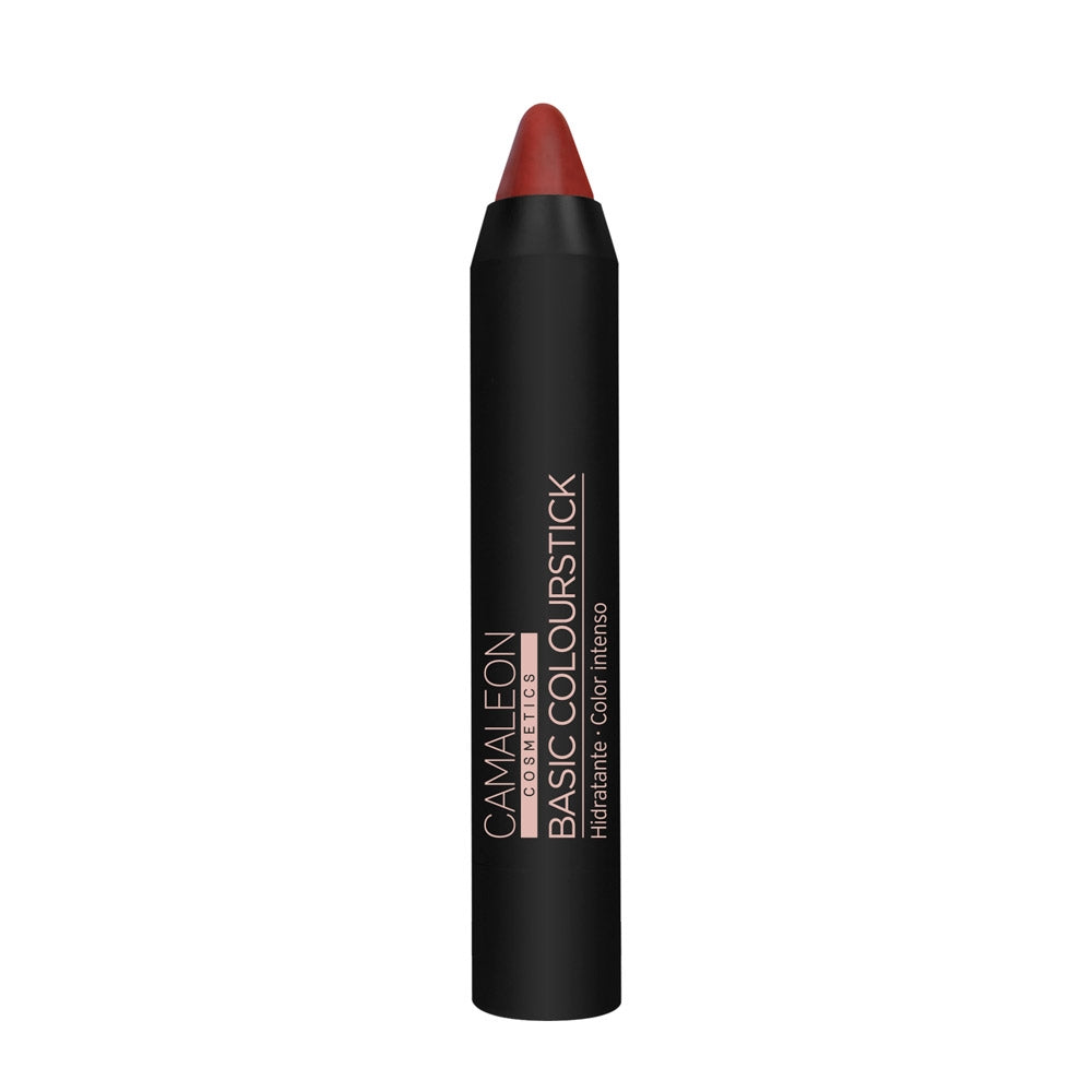 Pintalabios Nude Terra Basic Colourstick 4g Camaleon Cosmetics_0